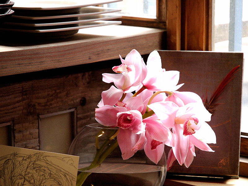 f:id:photosgo:20110421170647j:image:w360