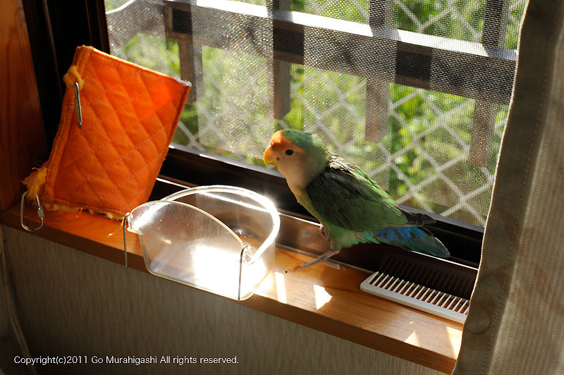 f:id:photosgo:20110517115726j:image:w450
