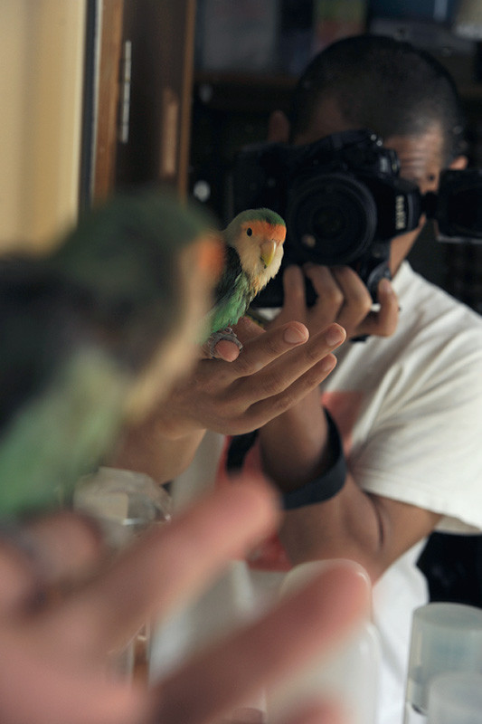f:id:photosgo:20110520113910j:image:w450