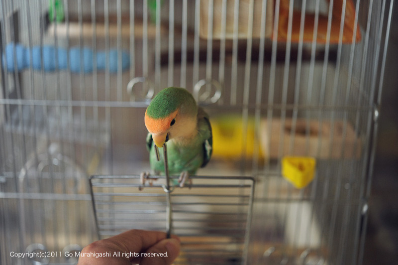 f:id:photosgo:20110530124602j:image:w450