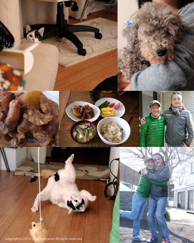 f:id:photosgo:20120411122808j:image:W450