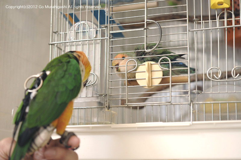 f:id:photosgo:20120416161908j:image:w450