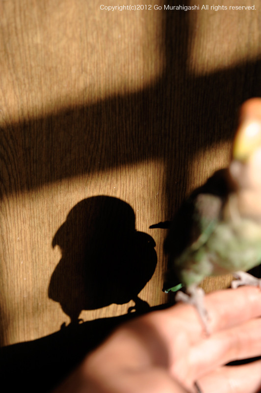 f:id:photosgo:20120430123155j:image:w450