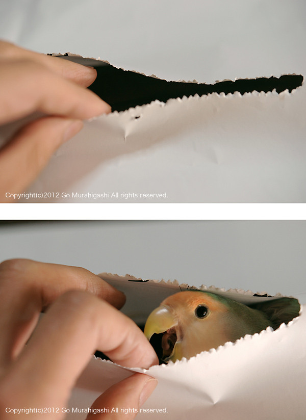f:id:photosgo:20120508123059j:image:w450