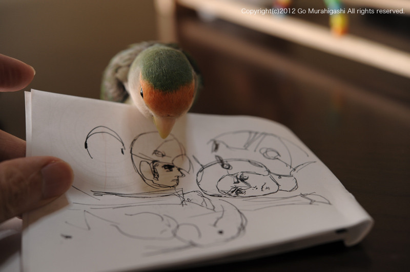 f:id:photosgo:20120518222920j:image:w450