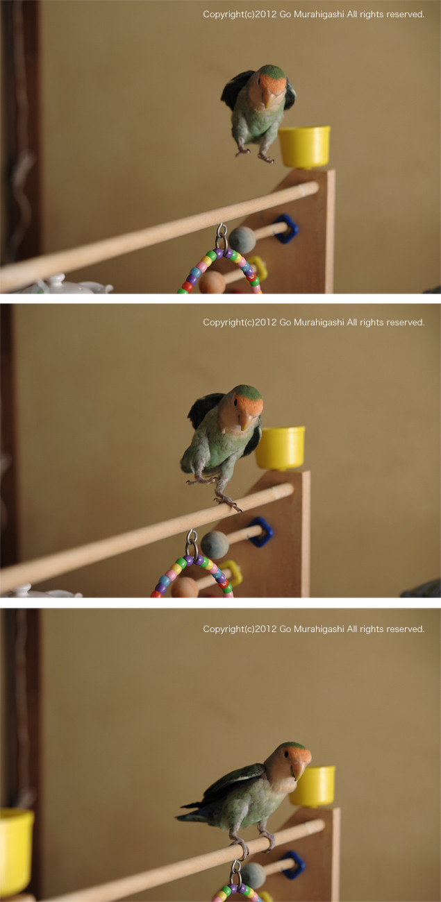 f:id:photosgo:20120527130539j:image:w450