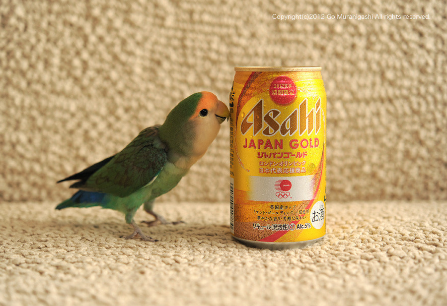 f:id:photosgo:20120801120110j:image:w450