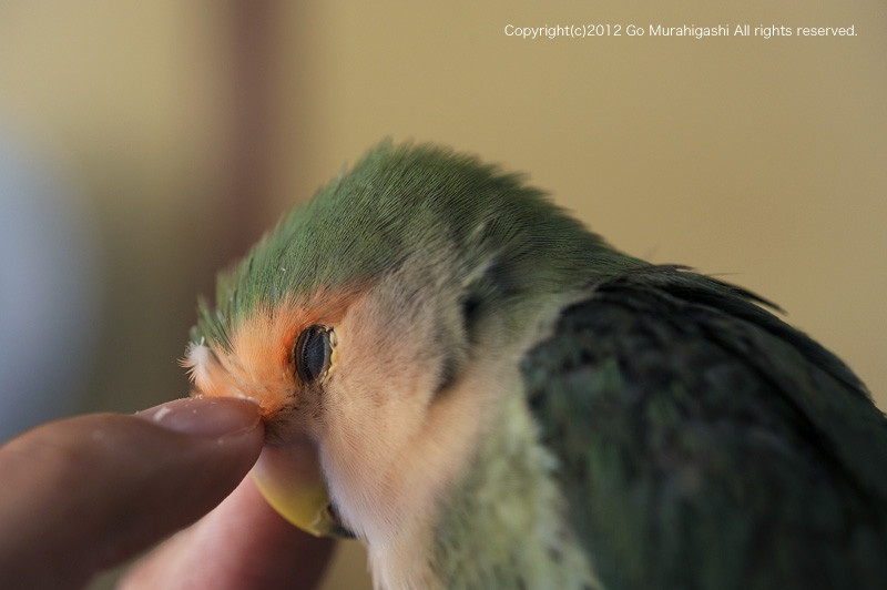 f:id:photosgo:20120904115944j:image:w450