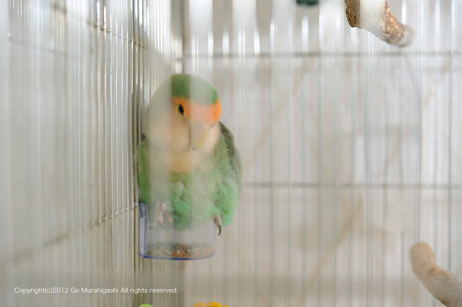 f:id:photosgo:20120911154303j:image:w450