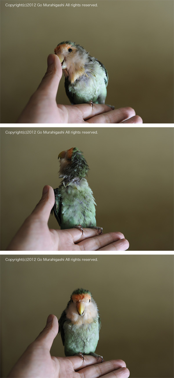 f:id:photosgo:20120918150548j:image:w450