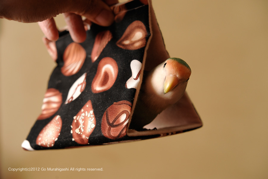 f:id:photosgo:20121019220252j:image:W450