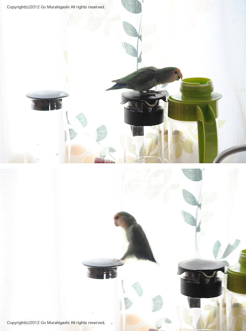 f:id:photosgo:20121031125032j:image:w450