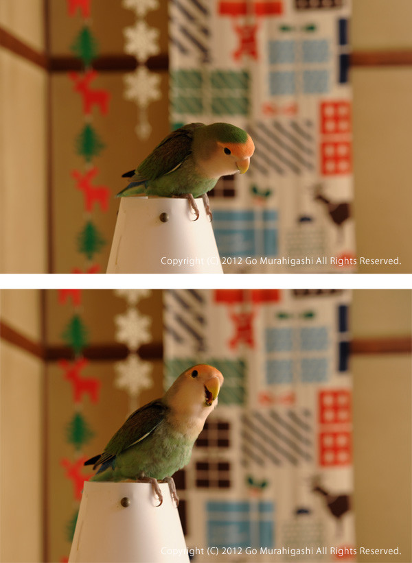 f:id:photosgo:20121224085149j:image:w450