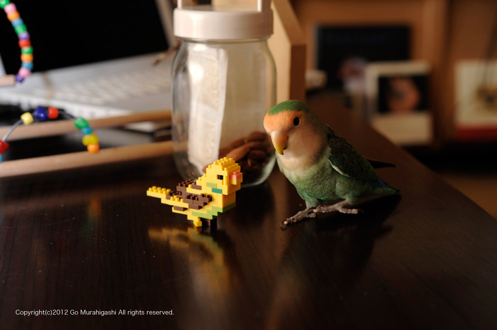f:id:photosgo:20121227155741j:image:W450 f:id:photosgo:20121227155741j:image:W450