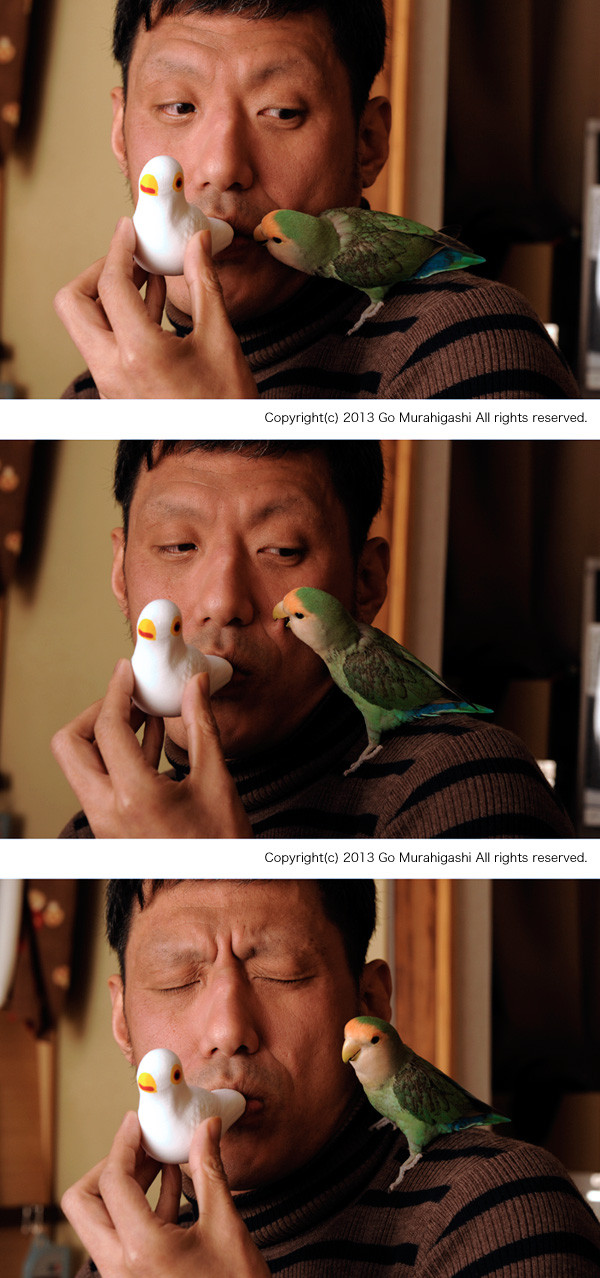 f:id:photosgo:20130106175802j:image:w450