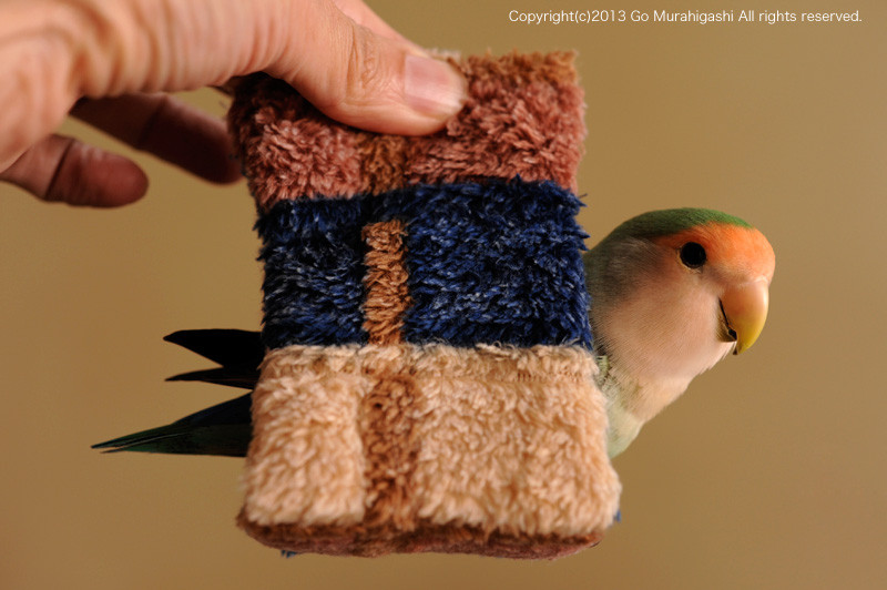 f:id:photosgo:20130115162444j:image:w450