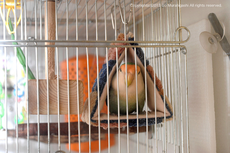 f:id:photosgo:20130115162445j:image:w450