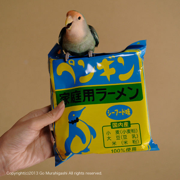 f:id:photosgo:20130122152712j:image:W450