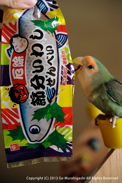f:id:photosgo:20130203211510j:image:w450