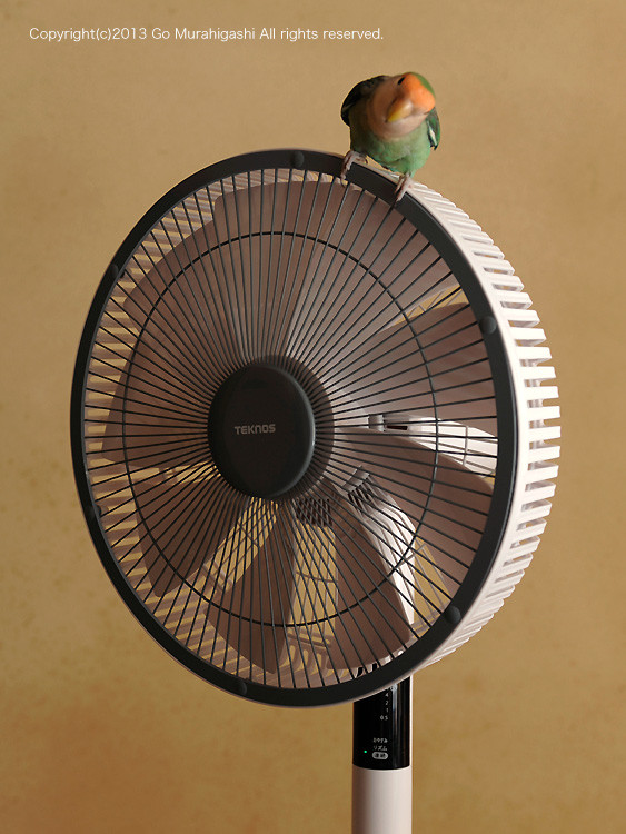 f:id:photosgo:20130614170206j:image:W450