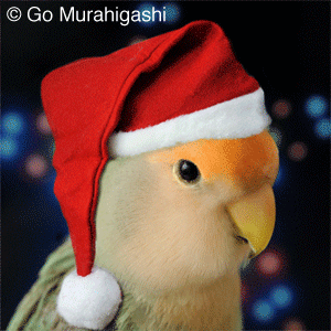 f:id:photosgo:20131218172443g:image