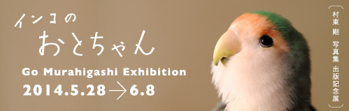 f:id:photosgo:20140507203023j:image:W450