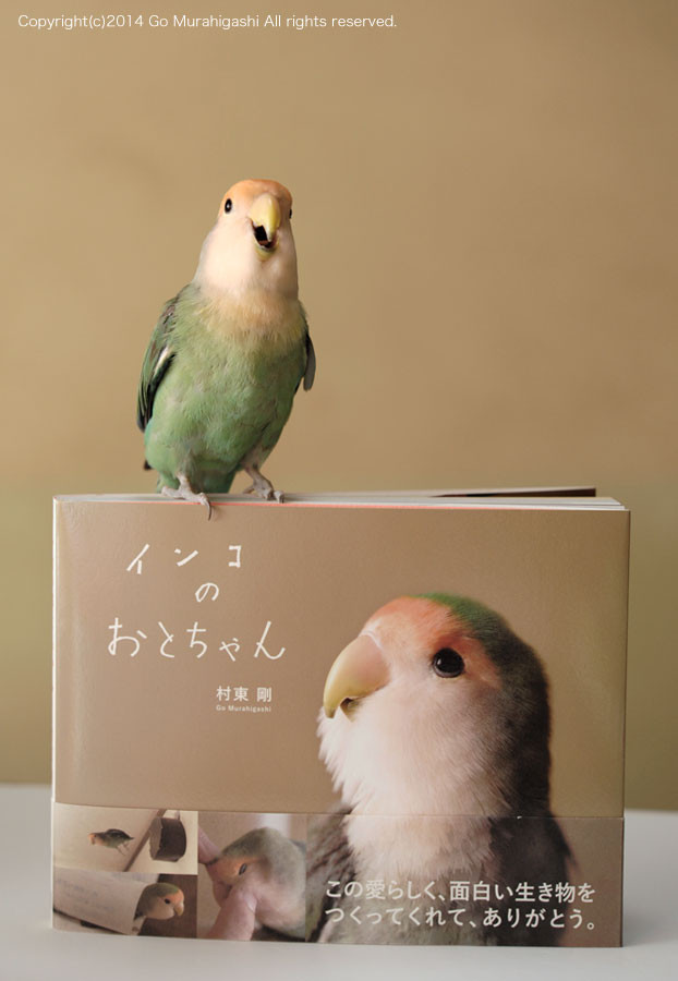 f:id:photosgo:20140510125032j:image:w450