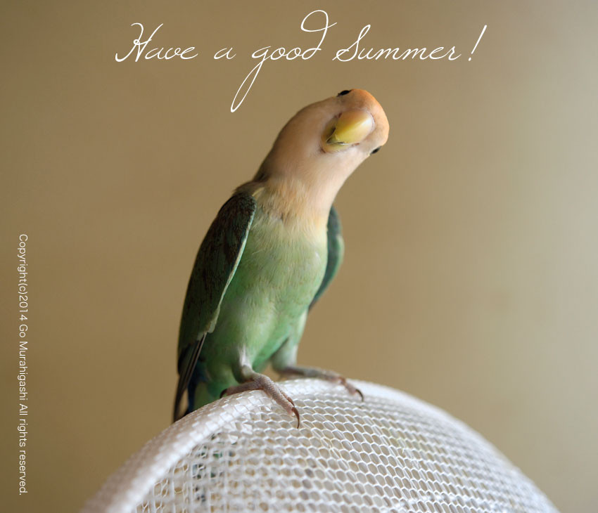f:id:photosgo:20140727132606j:image:W450