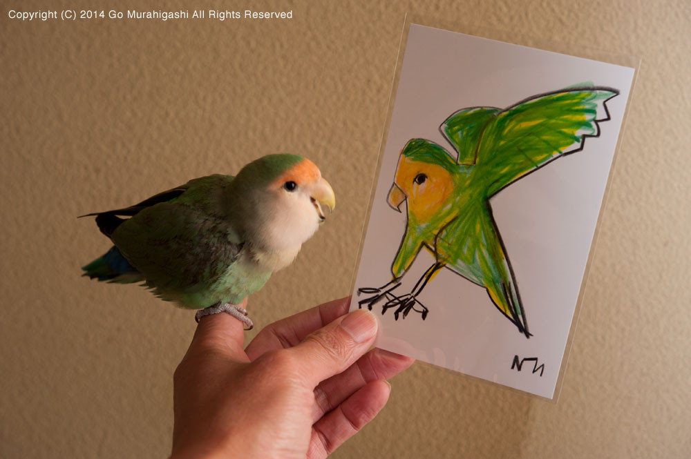 f:id:photosgo:20141207233058j:image:w450 f:id:photosgo:20141207233058j:image:w450