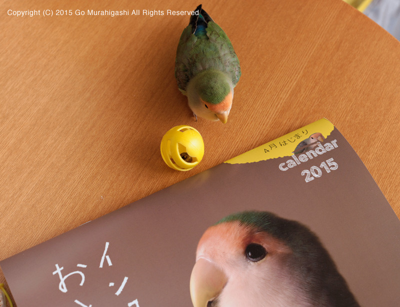 f:id:photosgo:20150109174219j:image:w450 f:id:photosgo:20150109174219j:image:w450