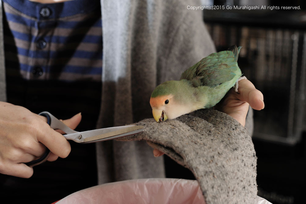 f:id:photosgo:20150129145640j:image:w450