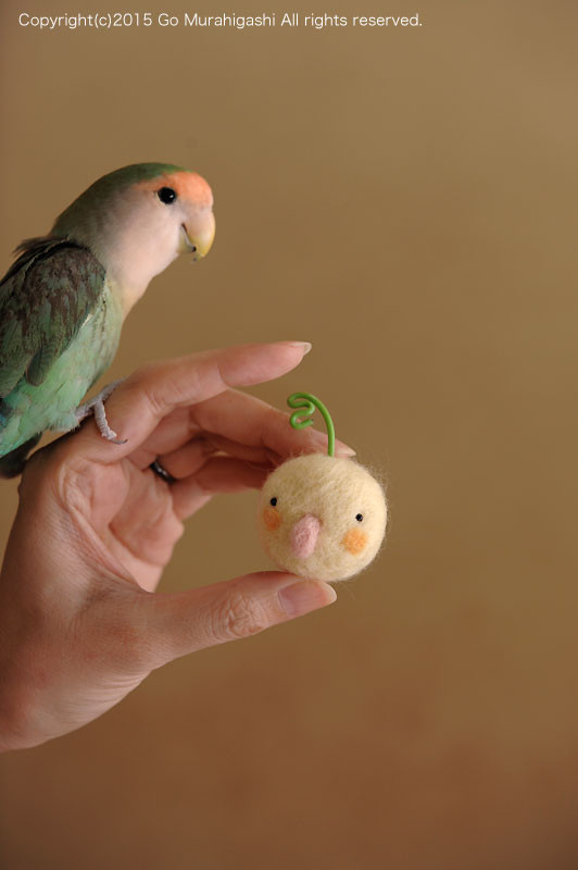 f:id:photosgo:20150914182226j:image:W450