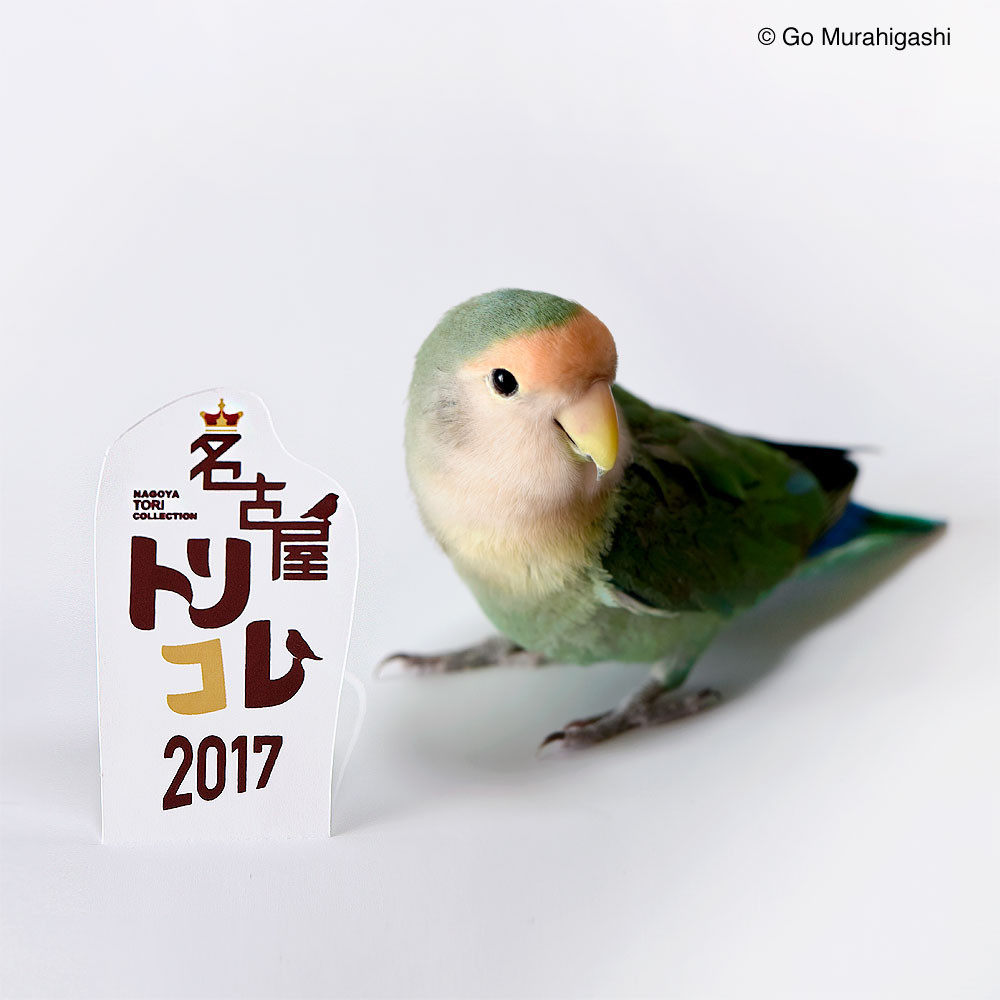 f:id:photosgo:20170404233602j:plain