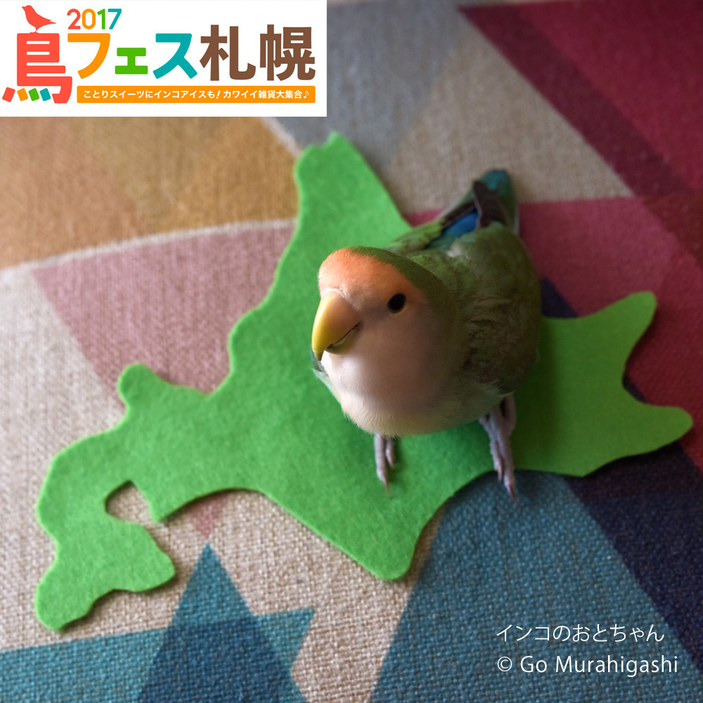 f:id:photosgo:20170601180554j:plain