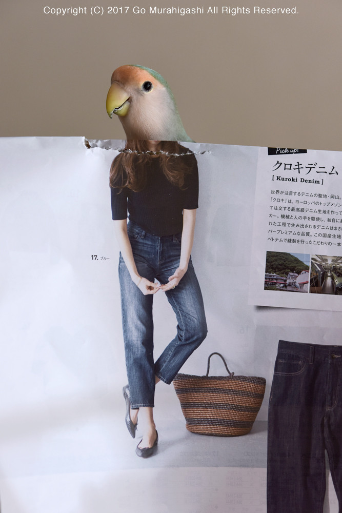 f:id:photosgo:20170607161416j:image