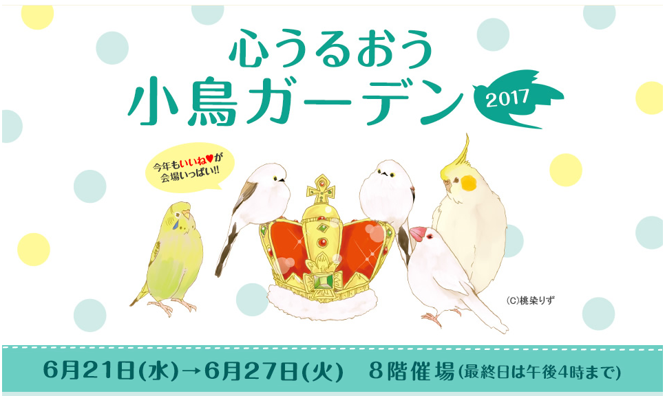 f:id:photosgo:20170607161606p:plain