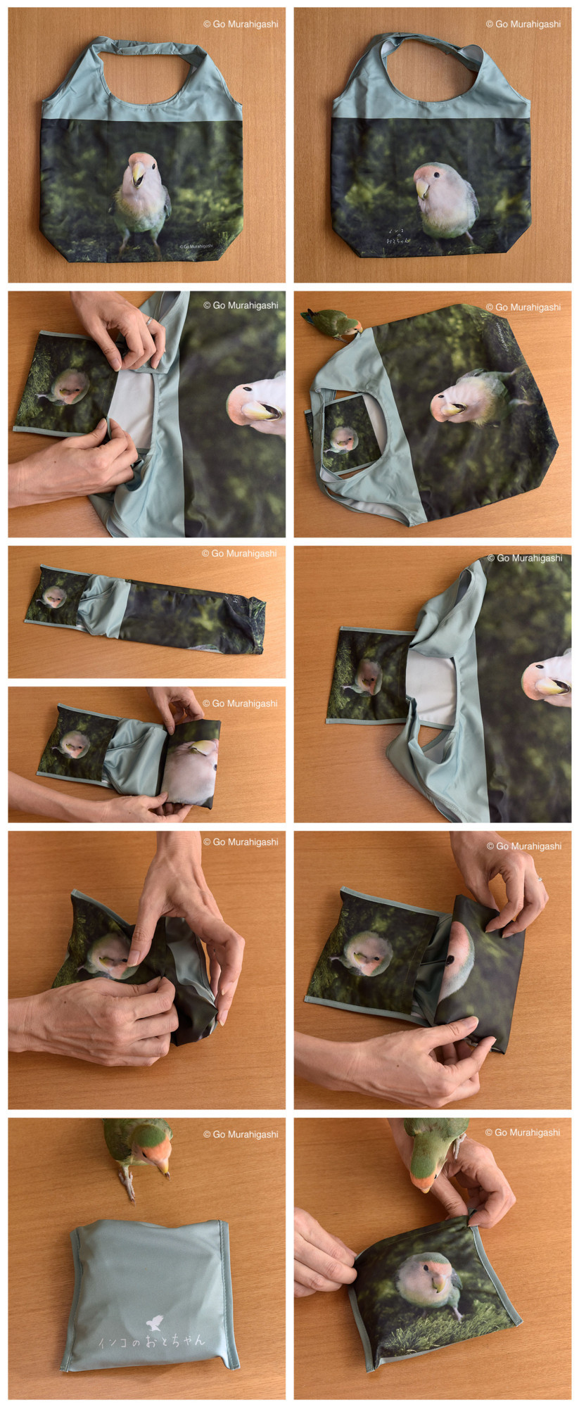 f:id:photosgo:20170901183102j:image f:id:photosgo:20170901183102j:image