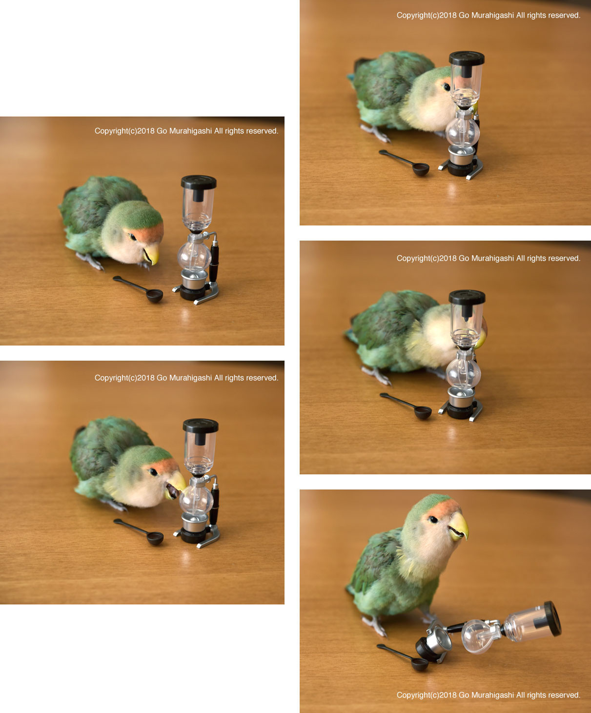 f:id:photosgo:20180105231352j:image