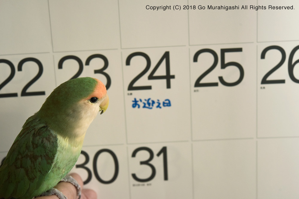 f:id:photosgo:20180116224355j:image