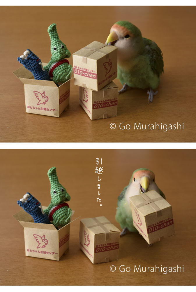 f:id:photosgo:20180122144223j:image