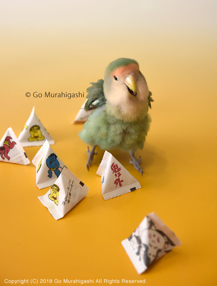 f:id:photosgo:20180202223927j:image