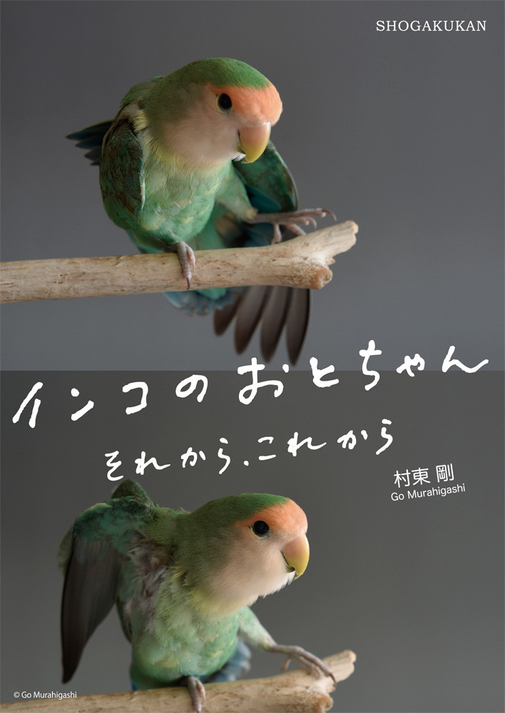 f:id:photosgo:20180926235914j:image f:id:photosgo:20180926235914j:image