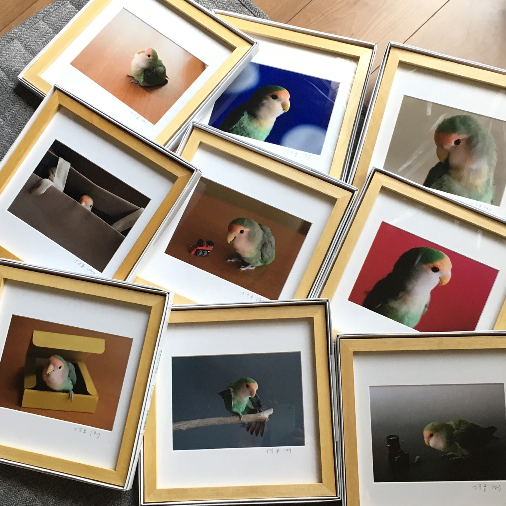 f:id:photosgo:20190320151636j:plain f:id:photosgo:20190320151636j:plain