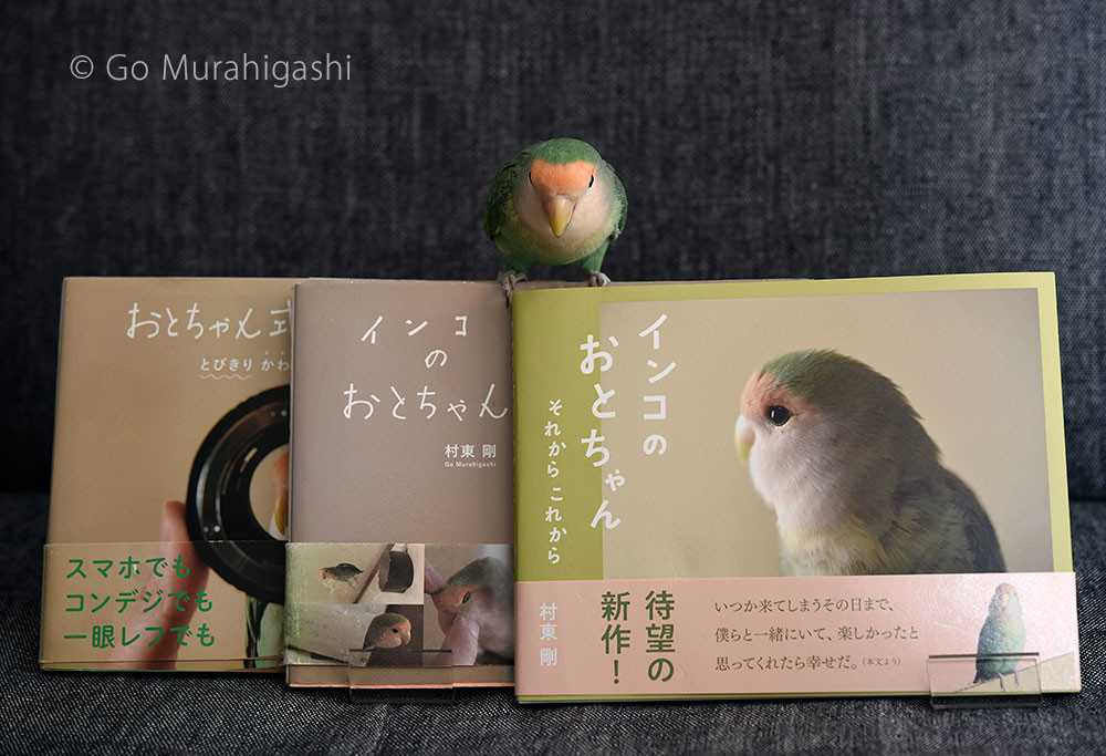 f:id:photosgo:20190328230916j:plain