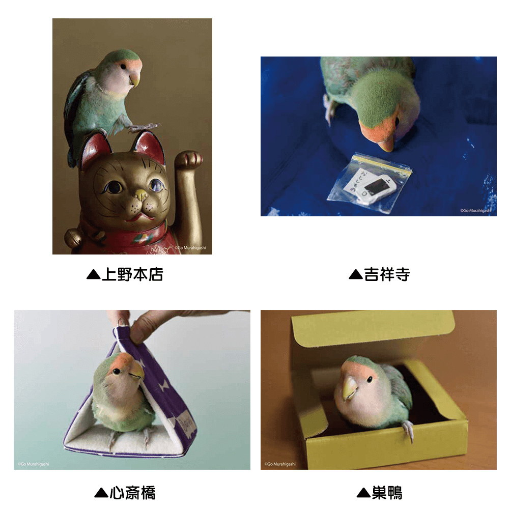f:id:photosgo:20190401183538p:plain f:id:photosgo:20190401183538p:plain
