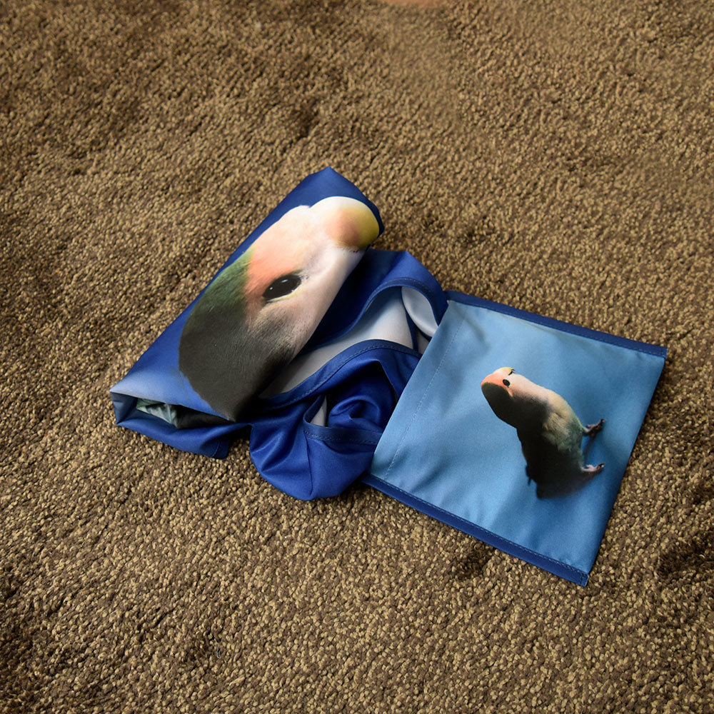 f:id:photosgo:20190417151316j:plain