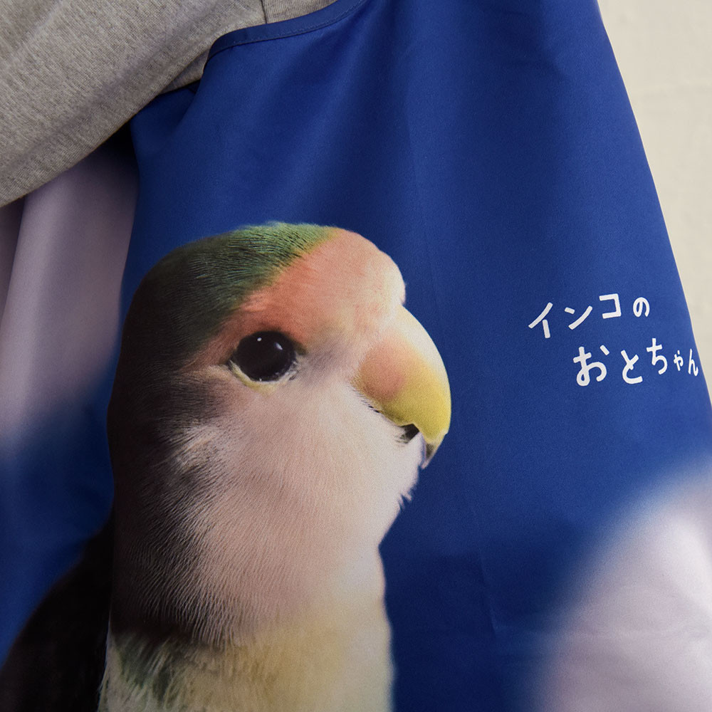 f:id:photosgo:20190417151444j:plain