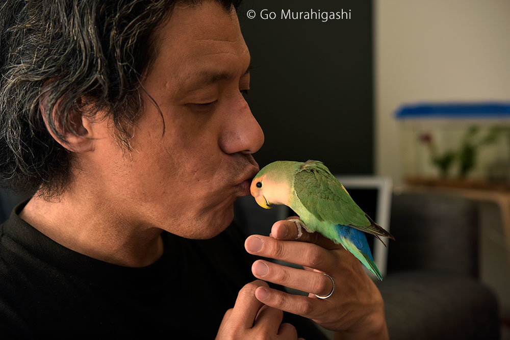 f:id:photosgo:20190422210118j:plain f:id:photosgo:20190422210118j:plain