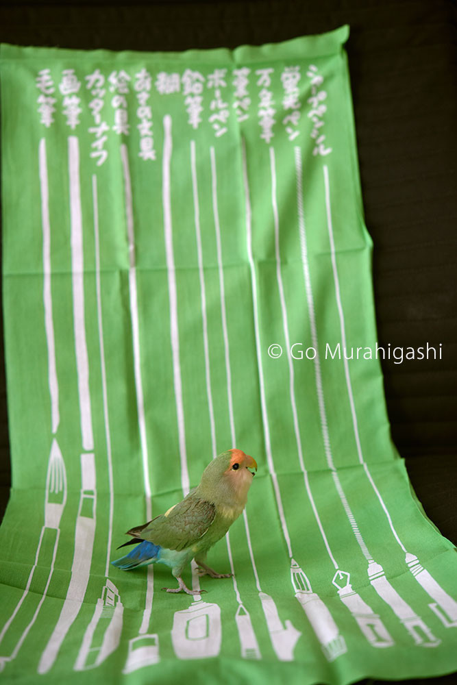 f:id:photosgo:20190519111604j:plain