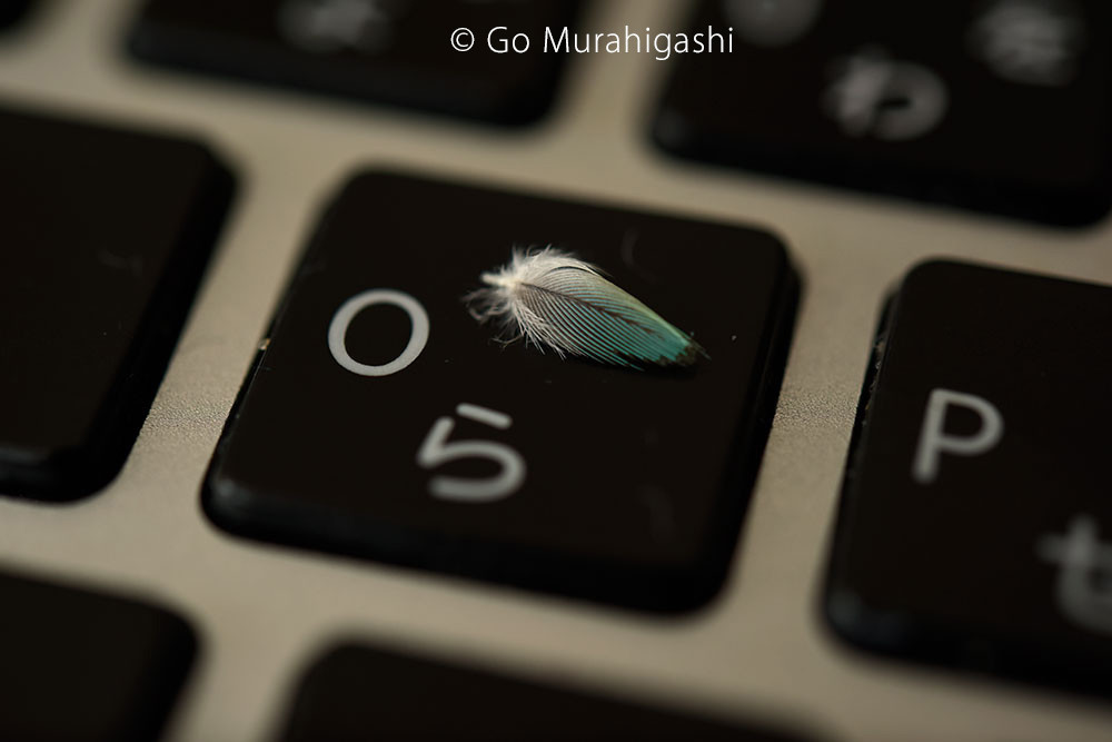 f:id:photosgo:20190614160739j:plain